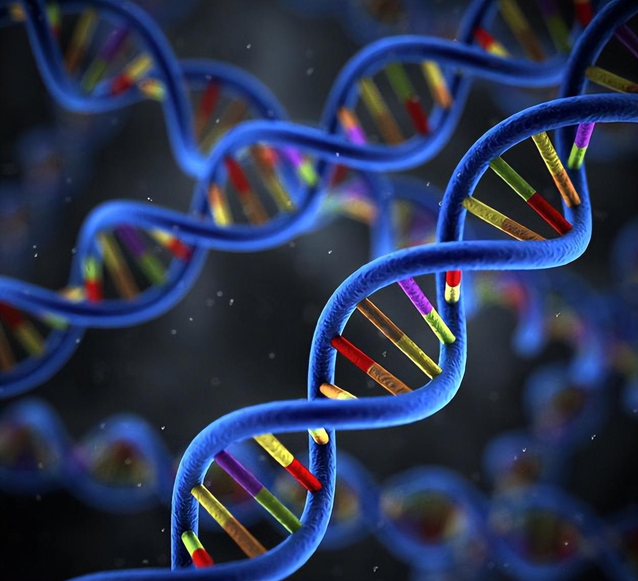 Breakthrough MIT Study: How CDP-Choline May Protect Against Alzheimer’s Caused by Genetic Risk