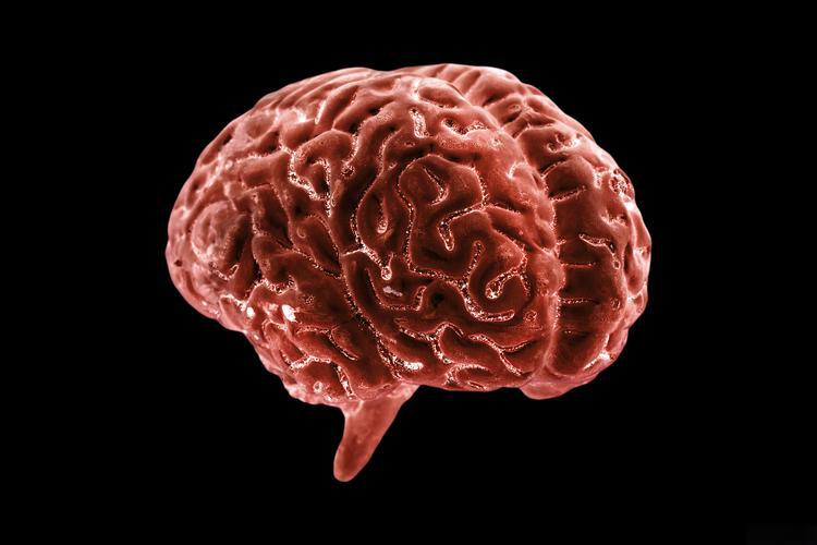 Brain’s Hidden Protector: Scientists Discover How to Supercharge Hemoglobin to Fight Alzheimer’s and Parkinson’s