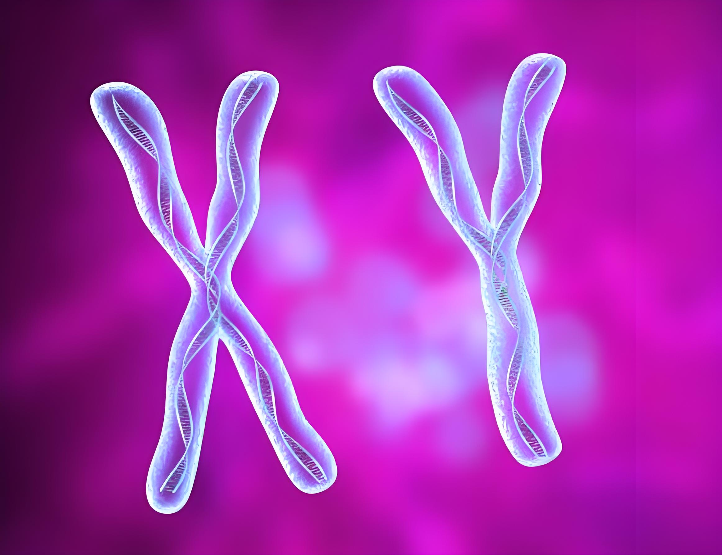 Unlocking the Secret of Chromosomal Inheritance: How Nature Prevents Genetic Errors